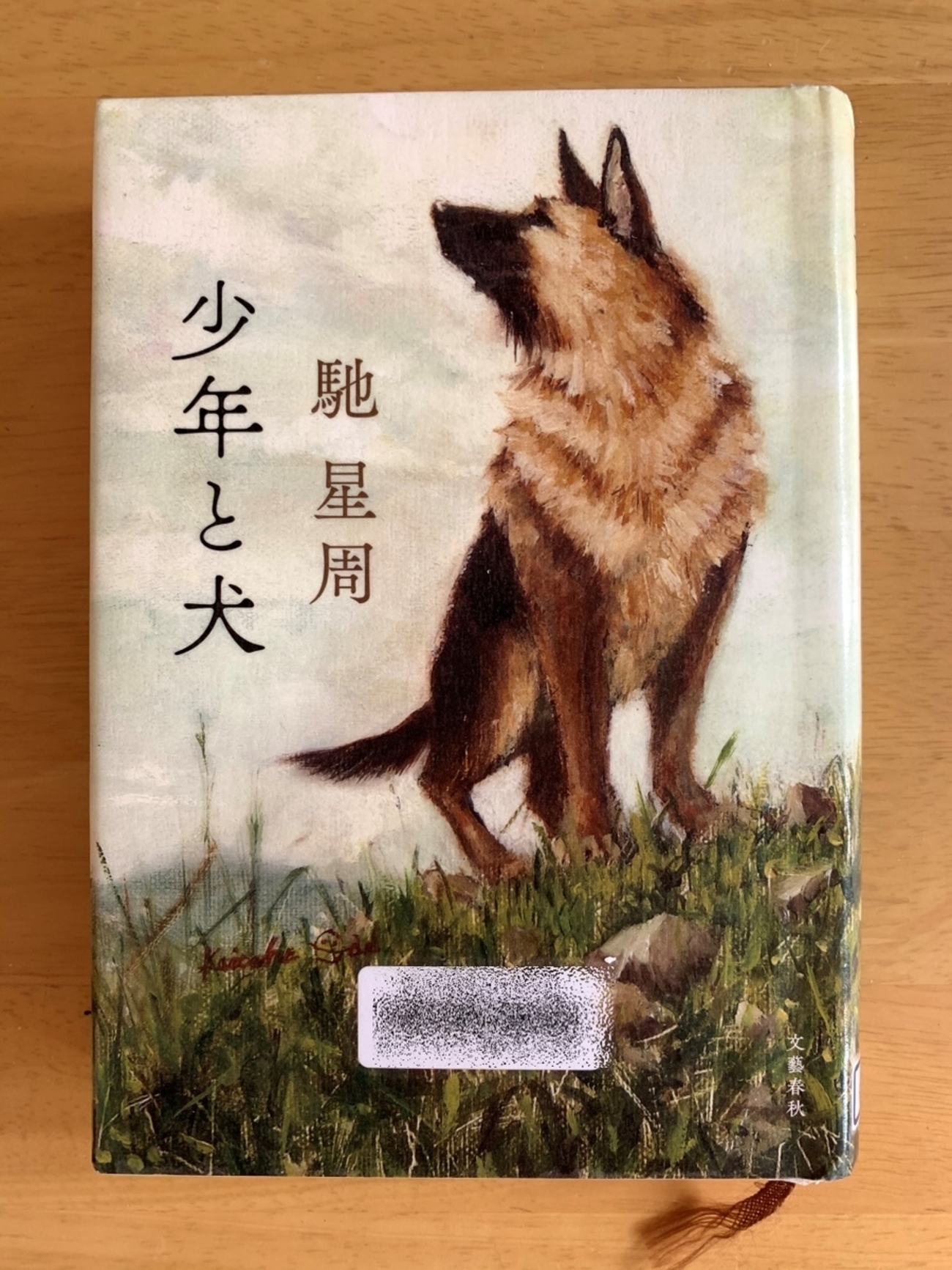 直木賞】馳星周著「少年と犬」を読むと犬がいっそう愛おしくなります 