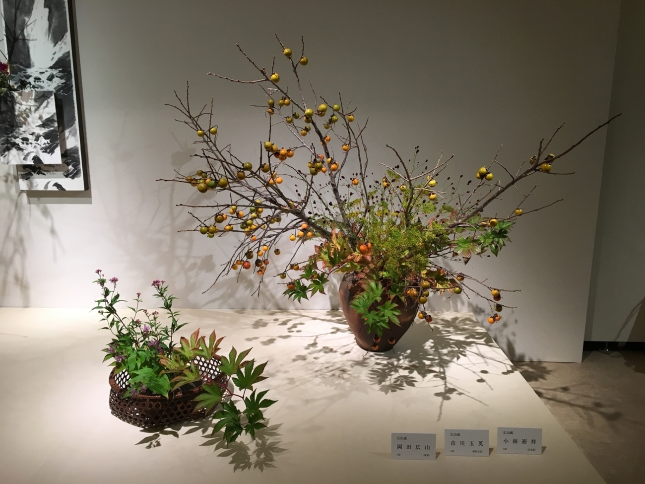 backend=imagemagick;version=1;