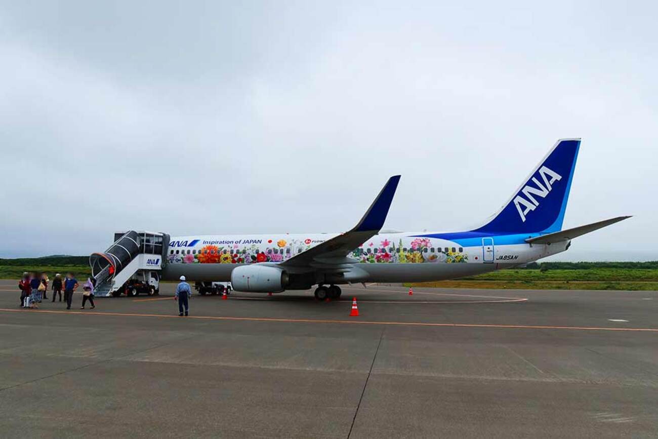 ANA 航空機 プレミア 新古品 レア モデル コレクション（全日本 ANA GQ 