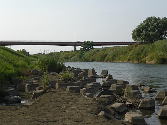 荒川釣りとは 人気 最新記事を集めました はてな