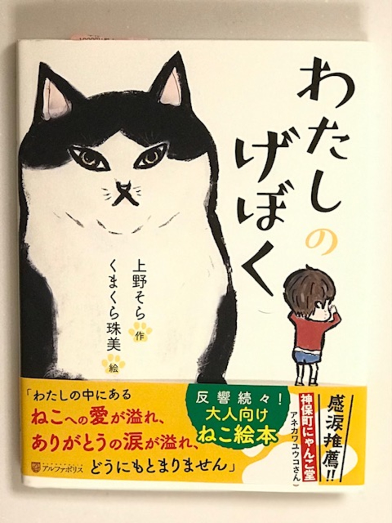 わたしのげぼく」を読んで、涙が溢れて・・・。 - うちの ねこ神様