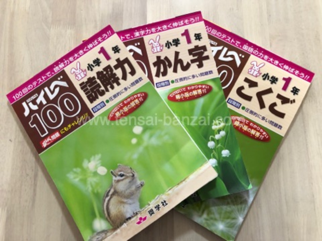 ハイレベ1年生 国語・読解力・漢字3冊の違い比較！ドリルレビュー 