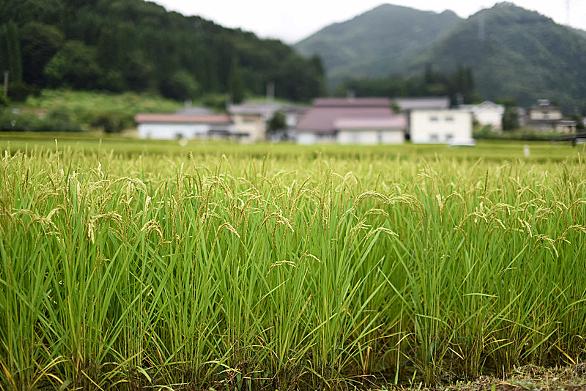 大好き五つ子とは テレビの人気 最新記事を集めました はてな 大好き五つ子とは テレビの人気 最新記事を集めました はてな