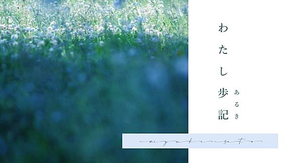 花野とは 動植物の人気 最新記事を集めました はてな