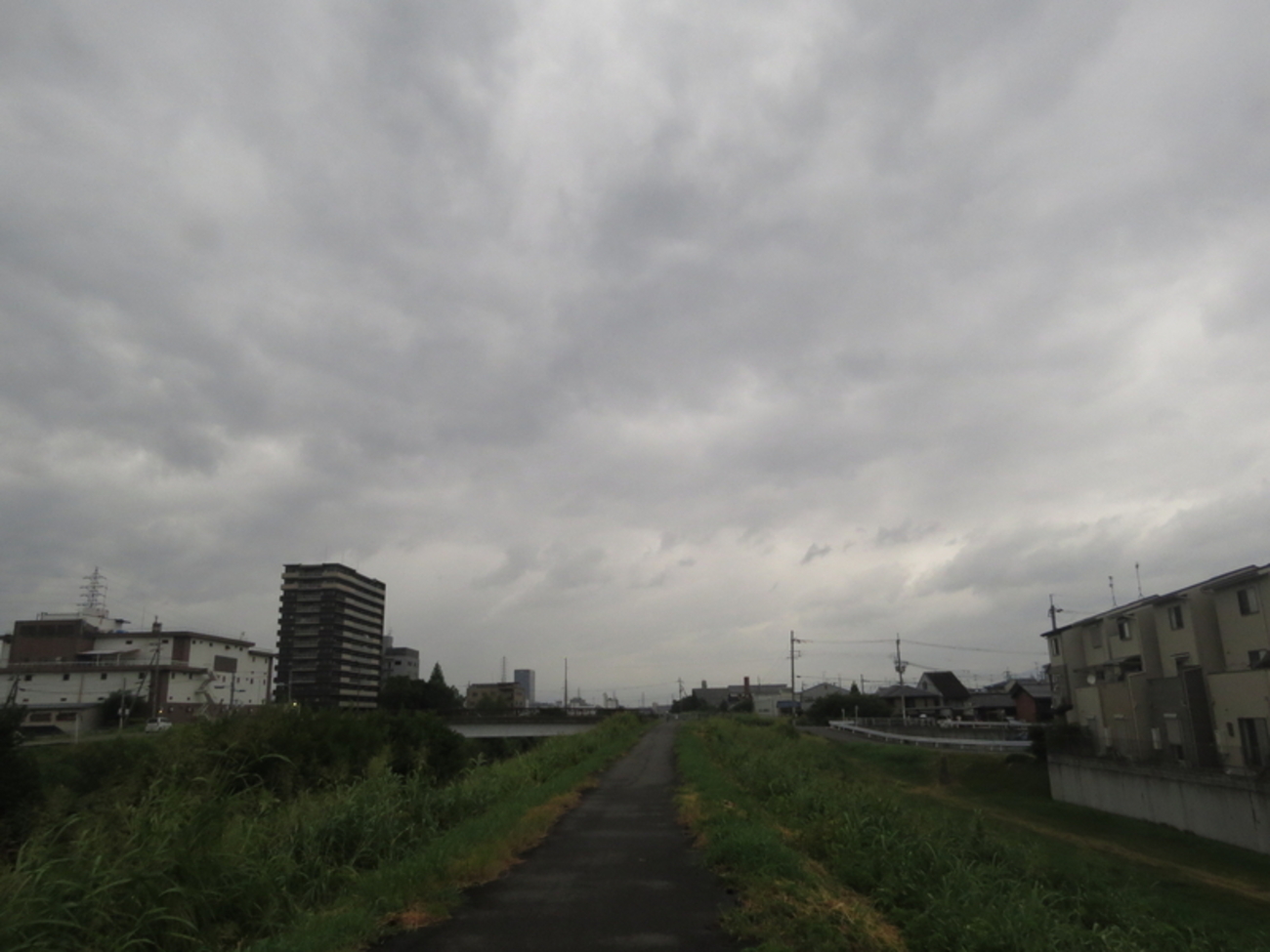 雨の『立秋』気温は低め - かんりにんのひとりごと（パート２）