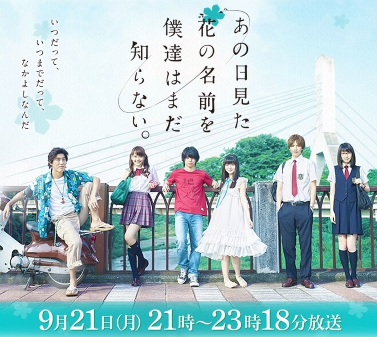 実写ドラマ『あの日見た花の名前を僕達はまだ知らない。』を観た 