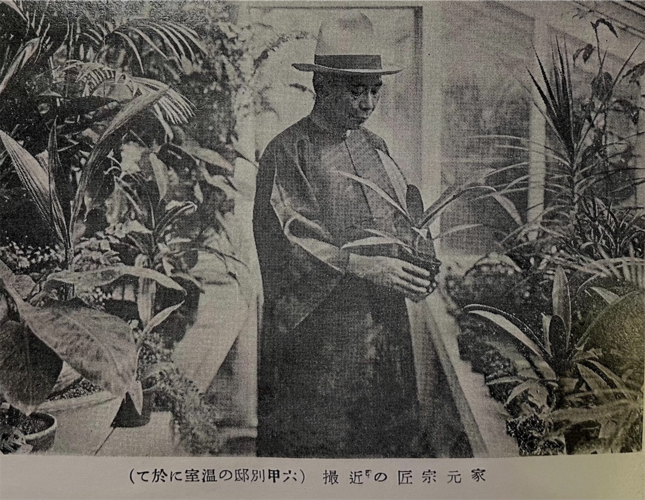 小原流盛花瓶華傑作選集　小原光雲 Amazon.co.jp: 小原流盛花瓶花傑作選集/小原光雲/昭和9年/日英