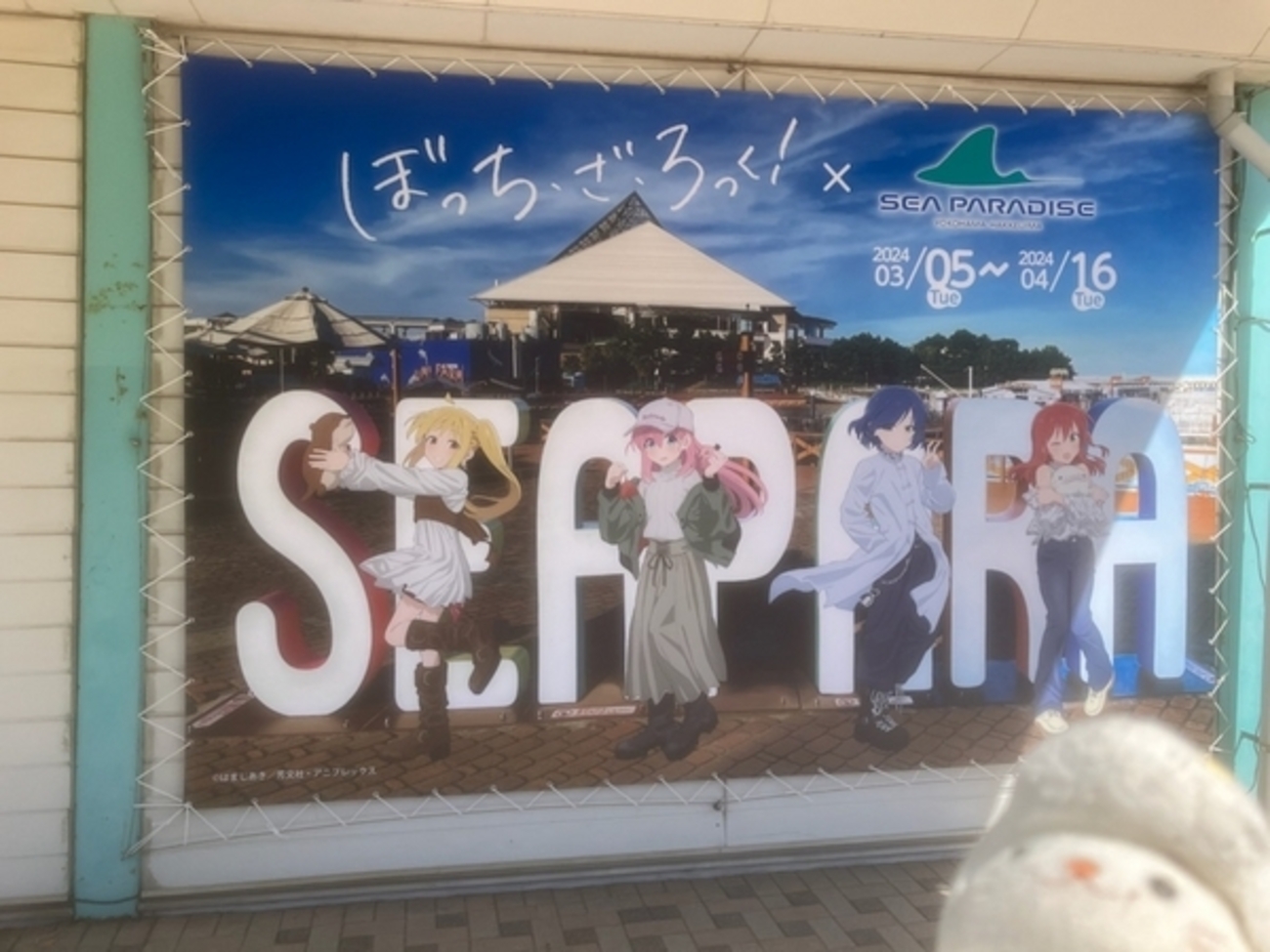 横浜八景島で楽しいコラボ体験 - どききゅあブログ
