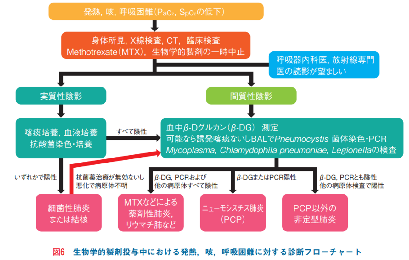 必ず鑑別に挙がる薬剤性肺障害について - リウマチ膠原病徒然日記