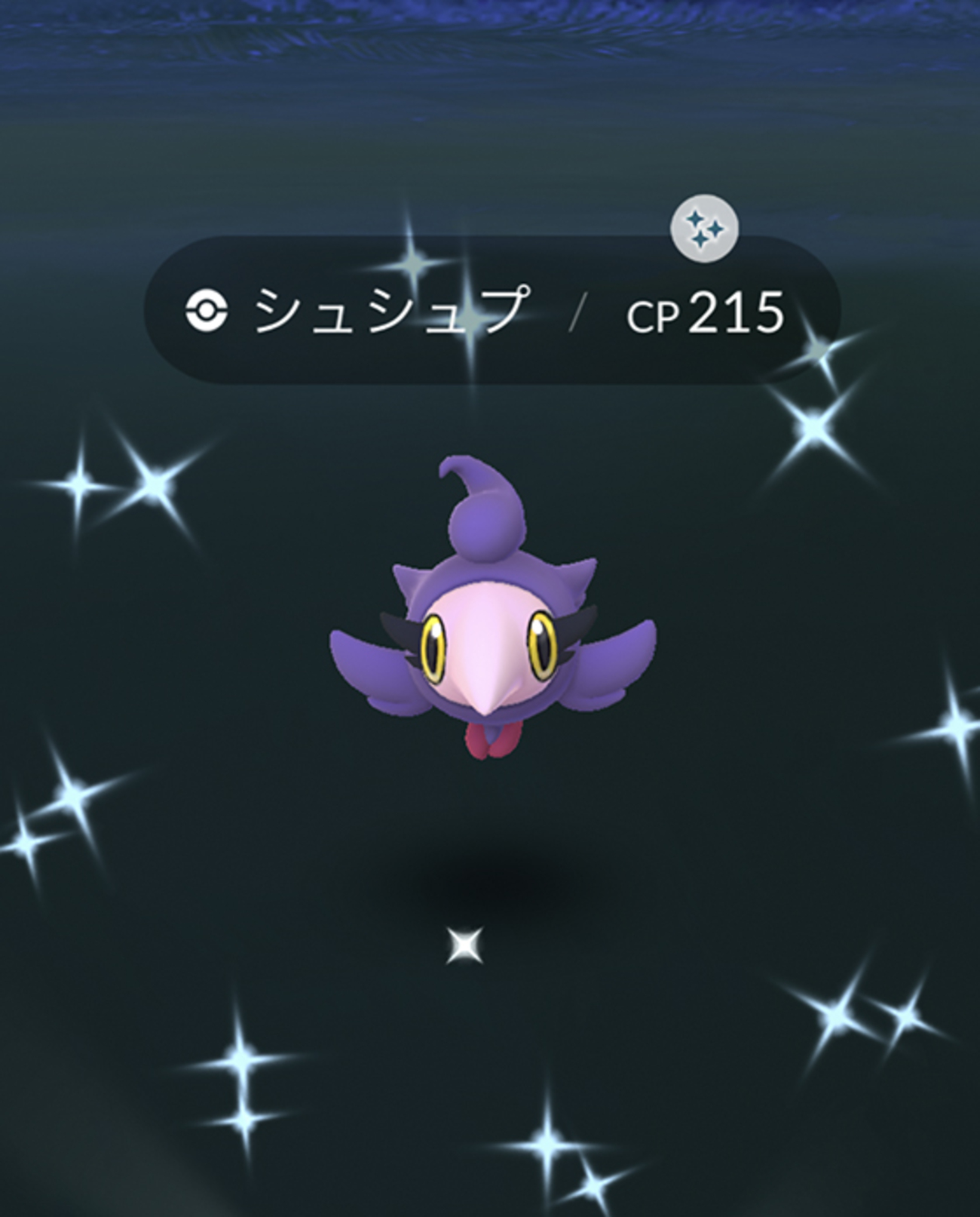 シュシュプ 色 違い