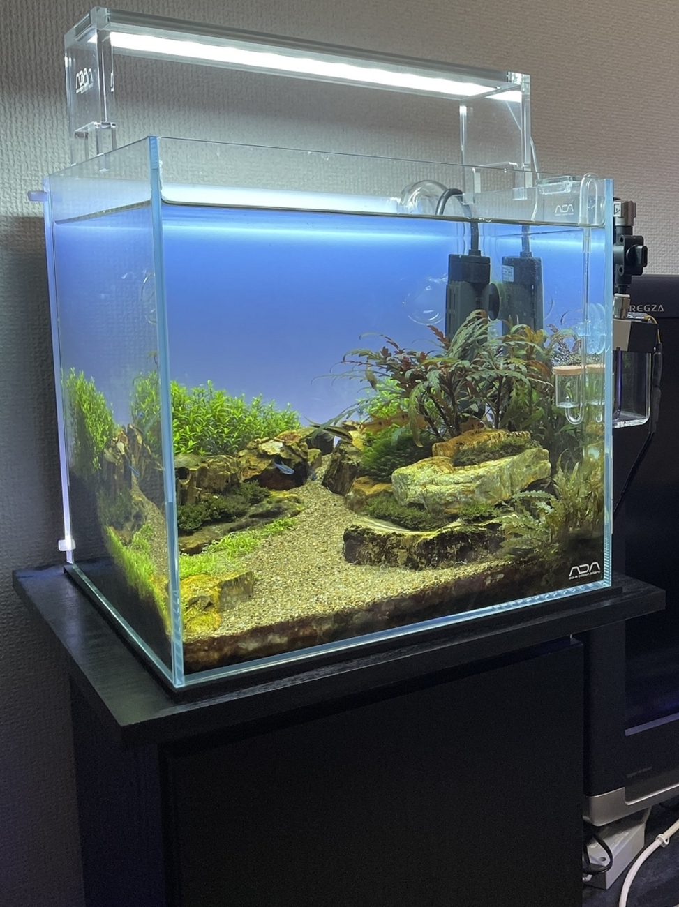 ADA 安から ライトスクリーン 60センチ水槽専用 