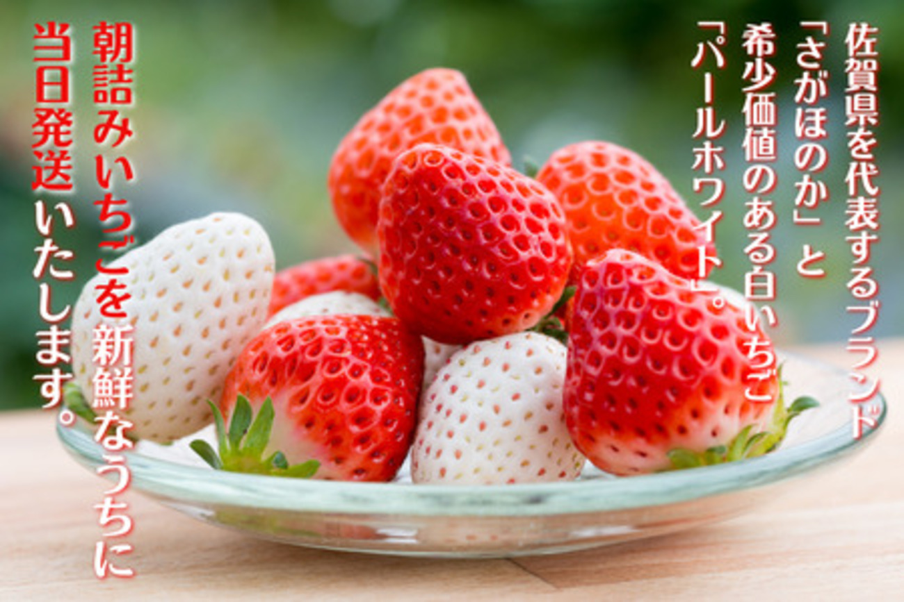 年内にふるさと納税！冷凍冷蔵庫がパンパンにならない返礼品 - SBIふるさとだより |あなたと地域をつなぎ、地域活性化を応援するメディア