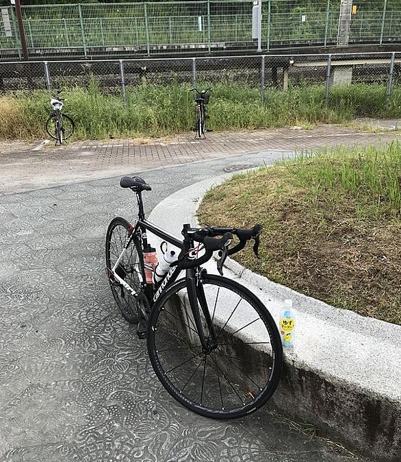 くいな 橋 自転車