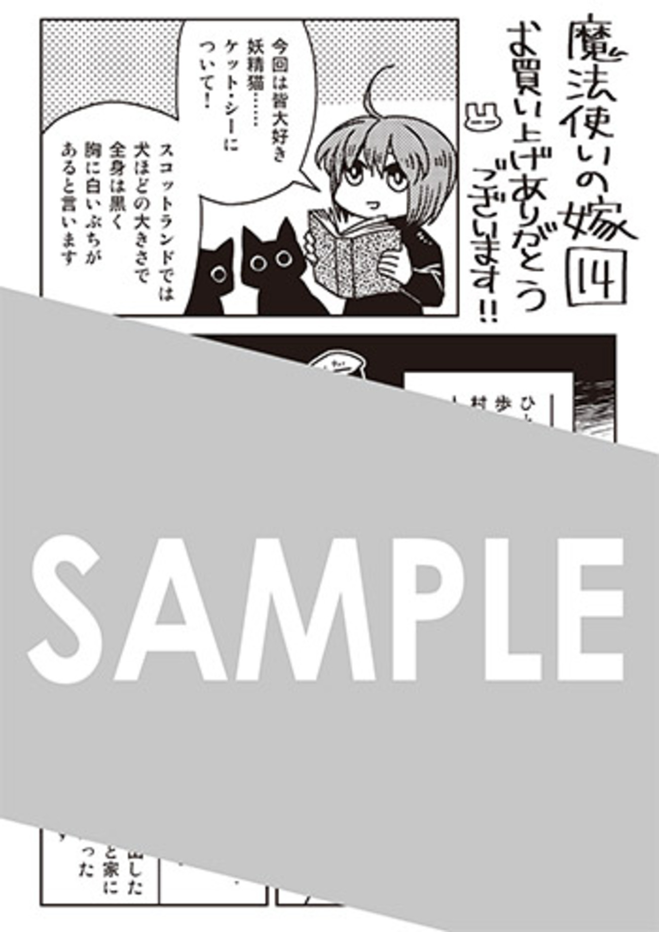 backend=imagemagick;version=1; 