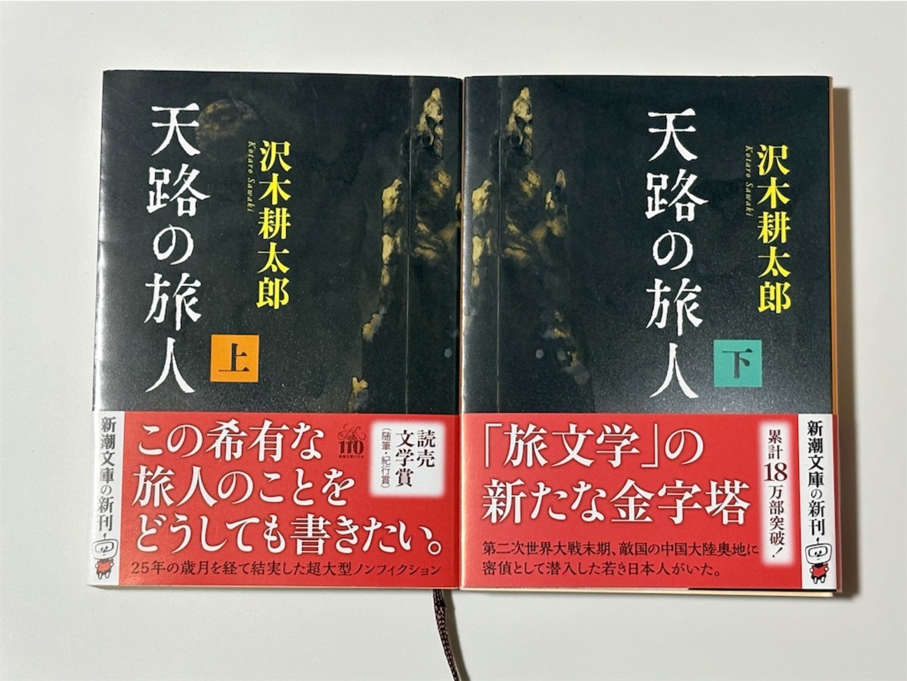 1767】天路の旅人（読書感想文481） - 幸せ感じる☆日々の暮らし