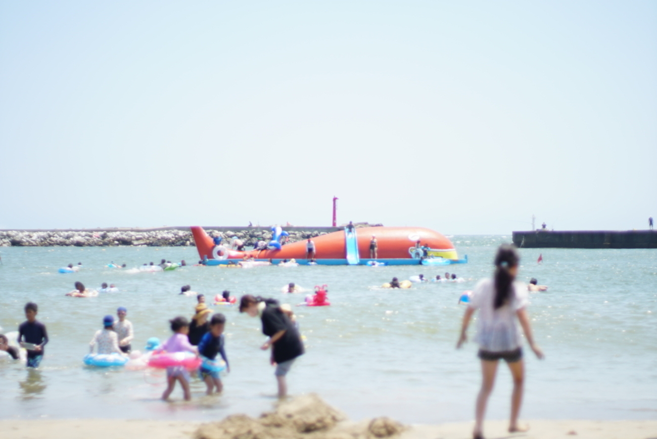 オールドレンズが好き。カメラ初心者の私が撮影した写真たち