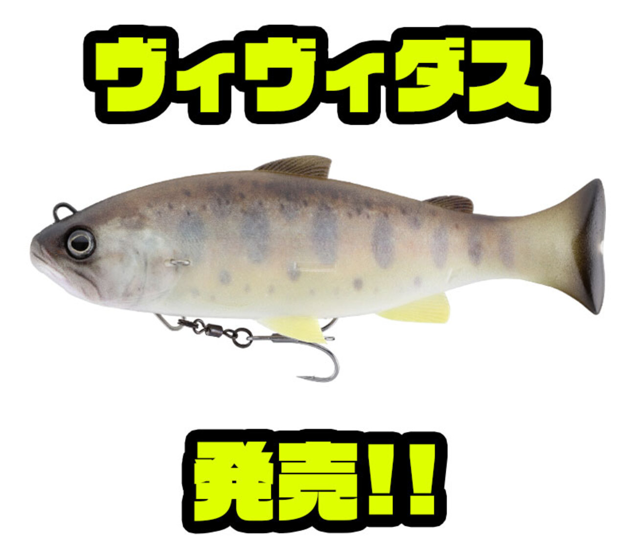 ジャッカル　ヴィヴィダス津風呂湖 VIVIDUS / ヴィヴィダス - FRESH WATER バス釣り ｜JACKALL