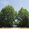 Stand by You