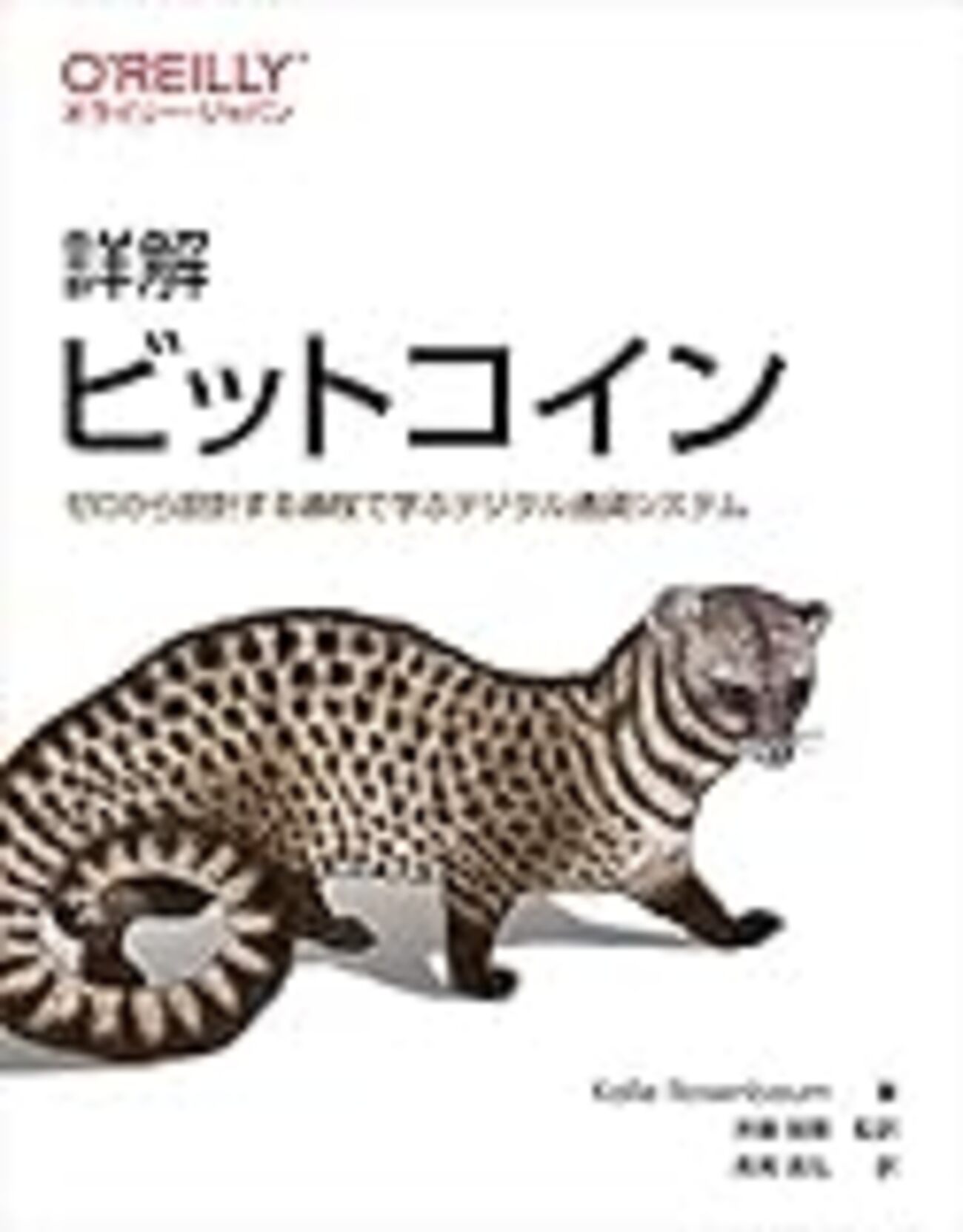 ビットコインとブロックチェーンをゼロから概念的に組み立てながら解説する『詳解 ビットコイン』がオライリーから出る - YAMDAS現更新履歴