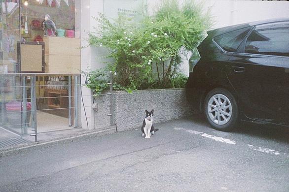 編入学失敗とは 人気 最新記事を集めました はてな 編入学失敗とは 人気 最新記事を集めました はてな