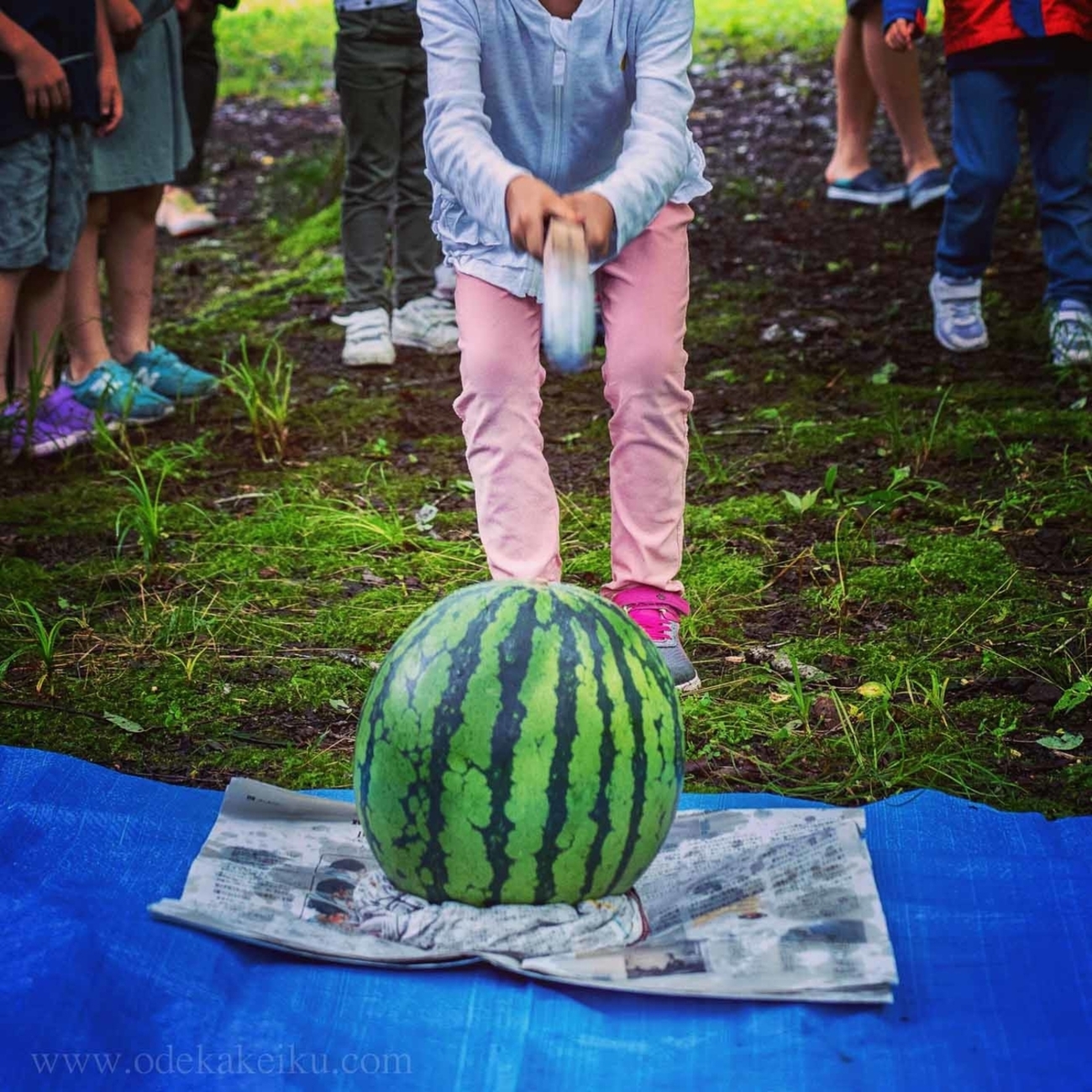 backend=imagemagick;version=1;