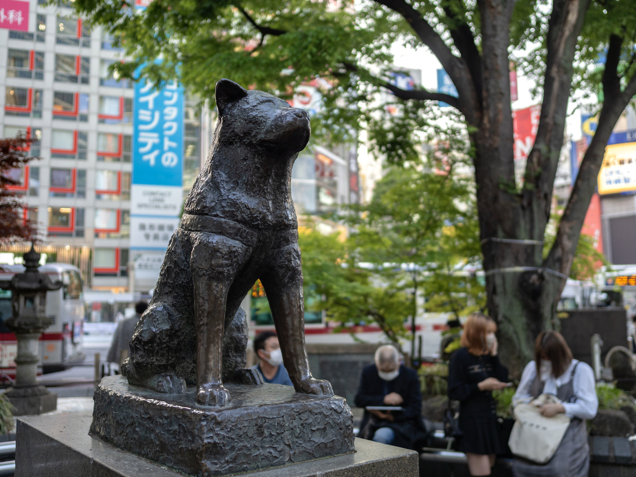 17mm F1.2の屋外実写 - 豪鬼メモ
