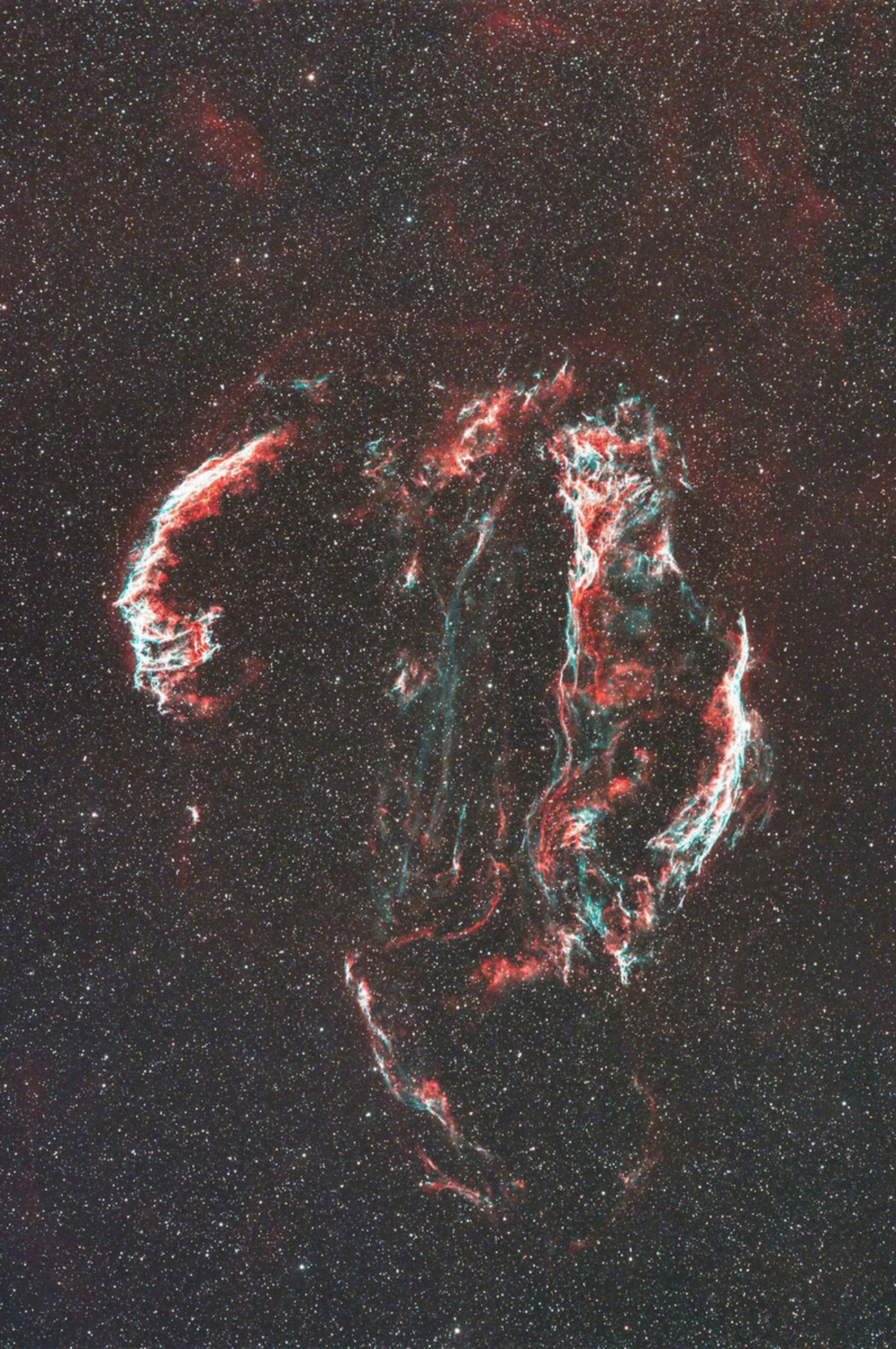 網状星雲をZWO社ASI2600MC-P(冷却CMOSカメラ)で撮影 - ネイチャー 