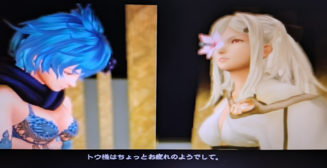 ドラッグオンドラグーン3】また嫌な仲間が増えたよ - 雨露日記