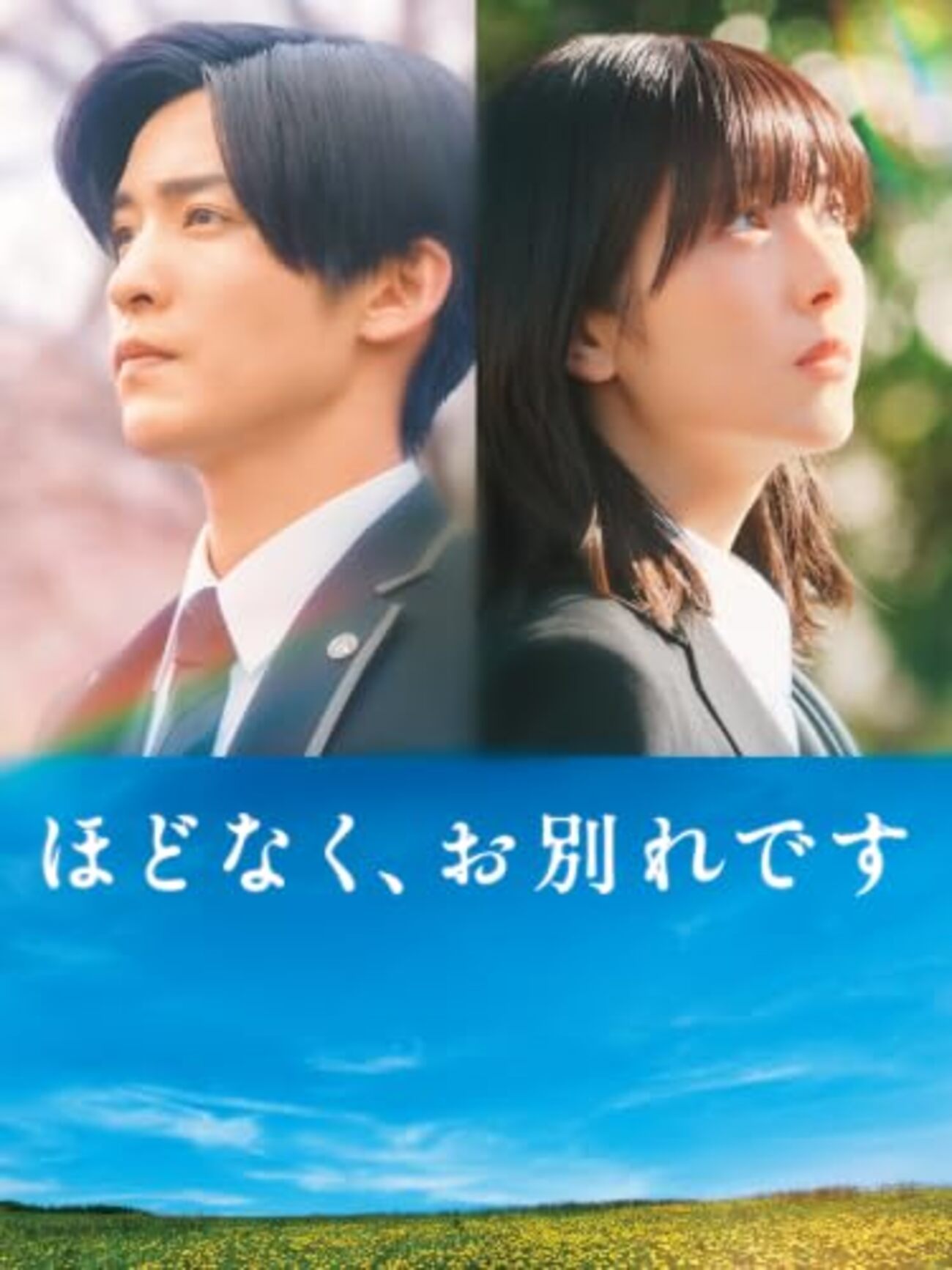 映画化で話題『ほどなくお別れです』あらすじ結末と涙の理由