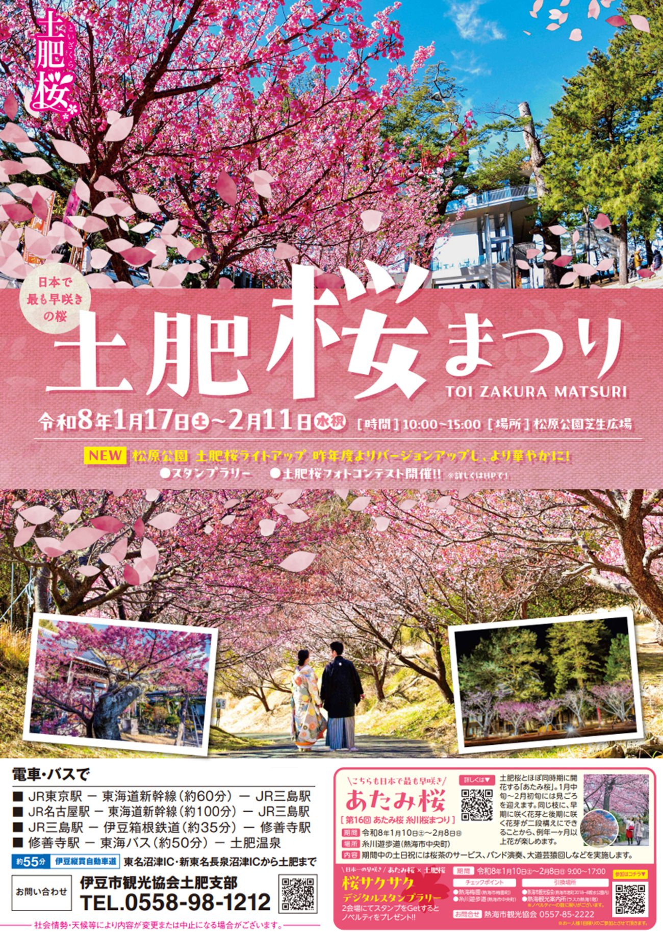 17日(土)から松原公園などで土肥桜まつり開催予定 - イベとぴ ～ふじ楽