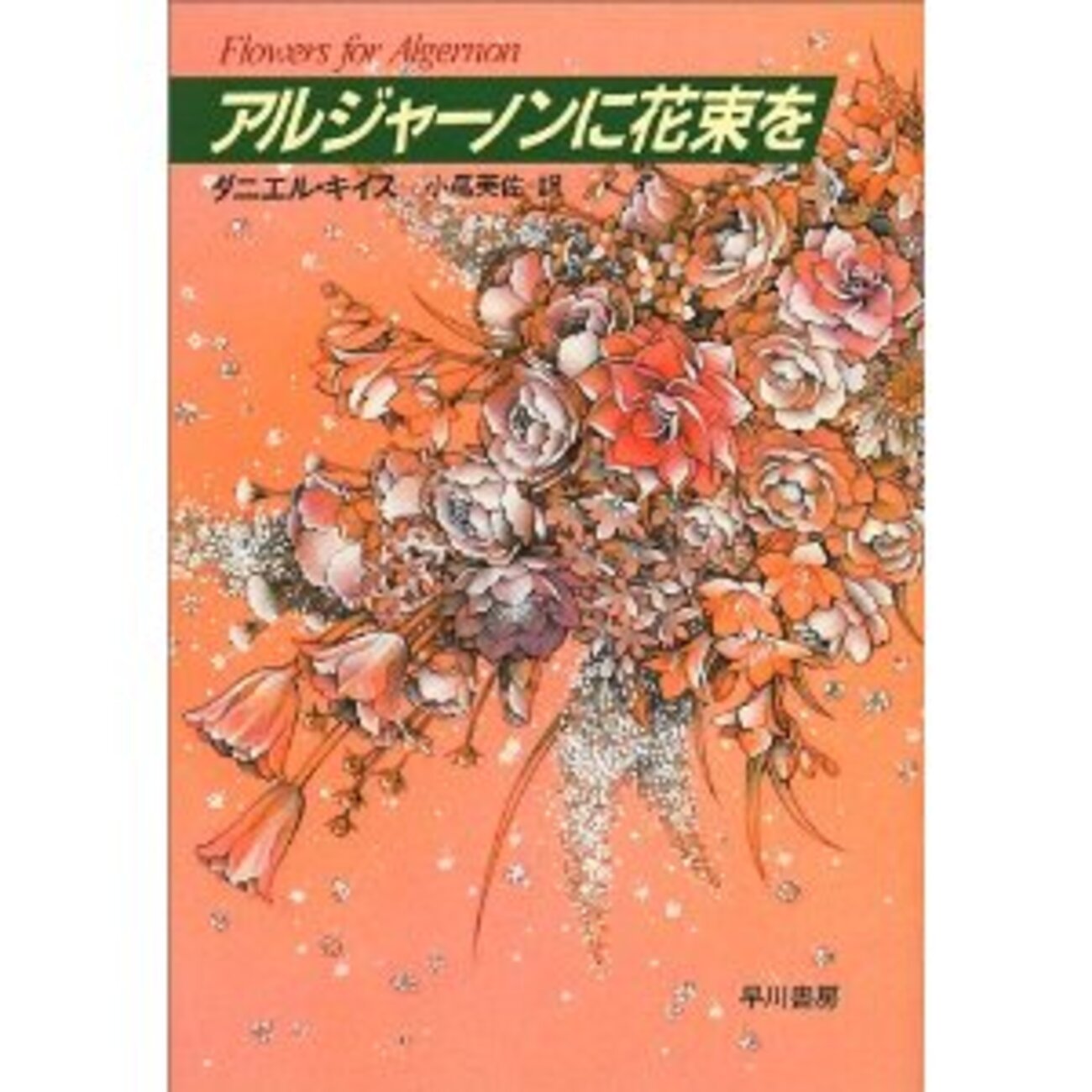 backend=imagemagick;version=1;