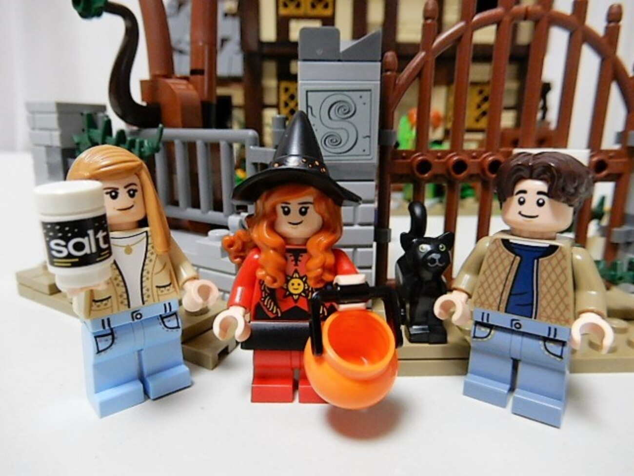 LEGO】IDEAS 21341 ホーカスポーカス ⑫～⑮ 完成 - 小さな世界