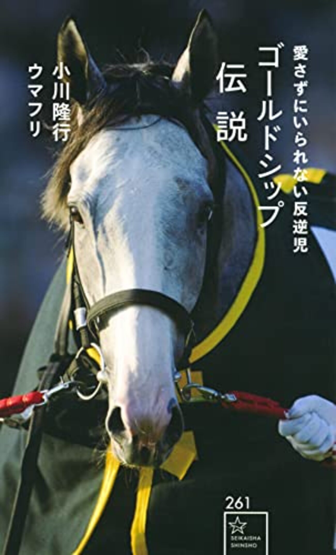 夢の航路を辿ったゴルシ特集本「ゴールドシップ伝説」｜超個性派