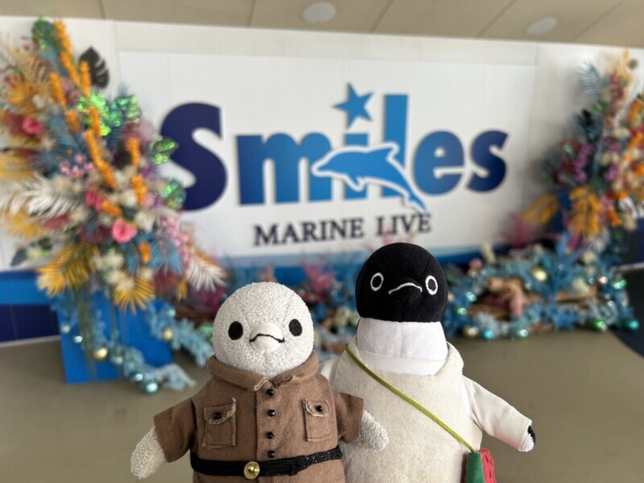 癒しの動物たちとの思い出 #ショー (白浜旅行その2)(647) - ちびすけが