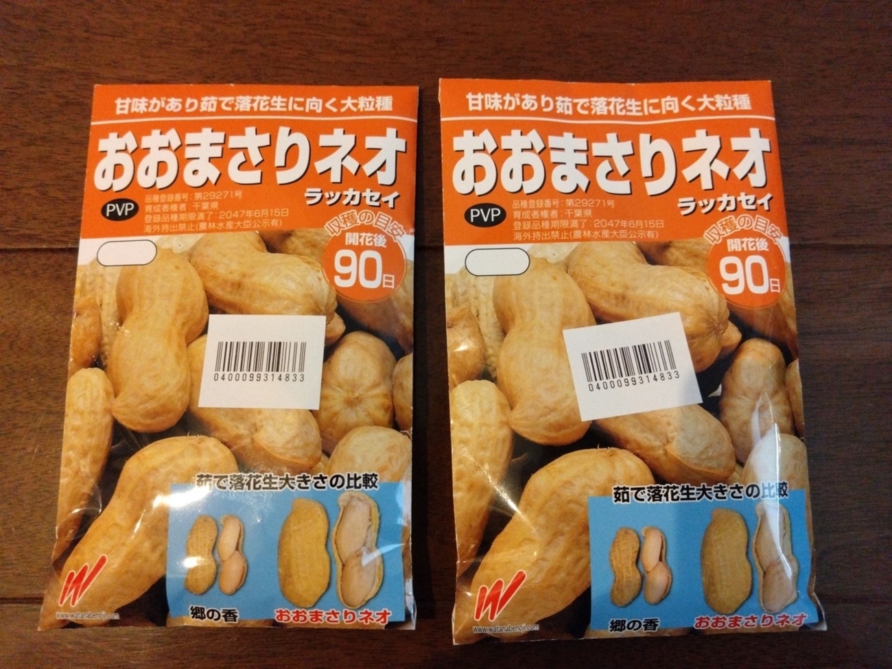 極大粒 落花生 おおまさりネオの種子1L 落花生 おおまさりネオ むき実種子 1L(約340粒) 渡辺農事（株