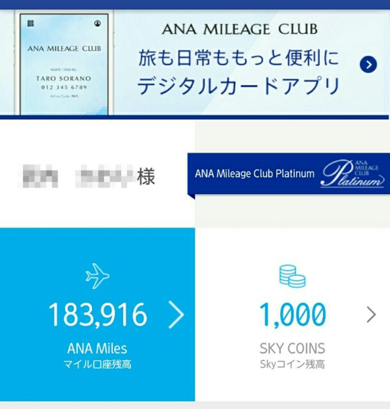 結局、解脱したの……？ - ワーママしながらSFC修行&子連れ旅行記