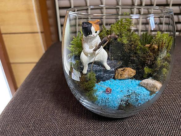 テラリウムとは アートの人気 最新記事を集めました はてな