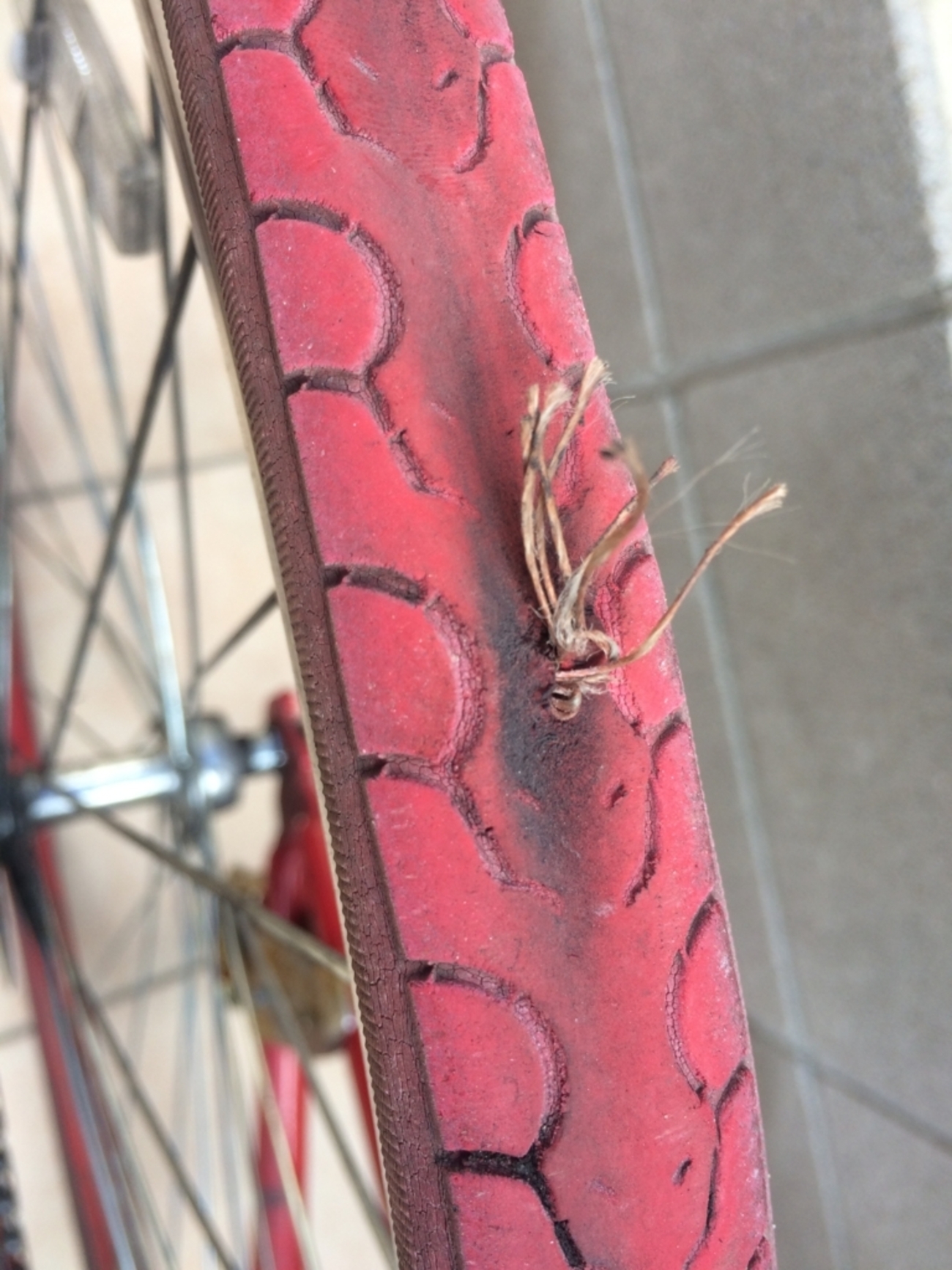 タイヤ・チューブ交換方法｢自転車の後輪がパンクした！！｣ - 自転車の 