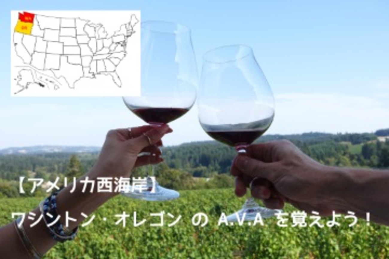 Amavi&CANVASBACK 赤ワイン オレゴン州　ワシントン州 Amavi&CANVASBACK 赤ワイン オレゴン州ワシントン州