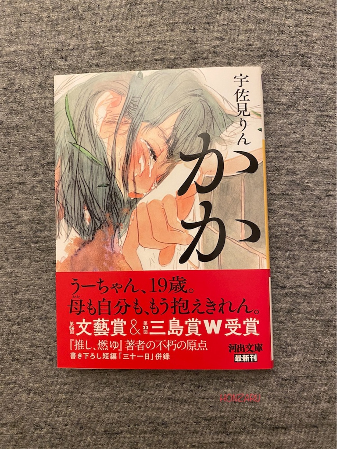 かか』宇佐見りん｜この感性とこの文体が訴えかけてくる - 書に耽る猿たち