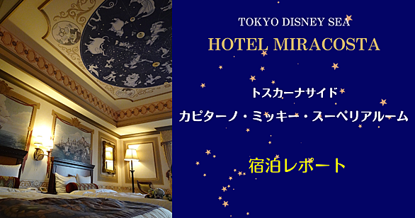 ディズニーシーとは 地理の人気 最新記事を集めました はてな