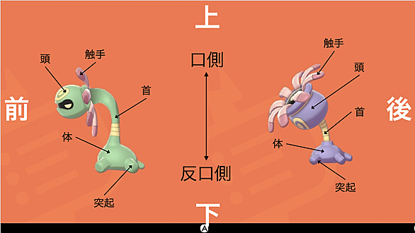 ヒドイデとは ゲームの人気 最新記事を集めました はてな ヒドイデとは ゲームの人気 最新記事を集めました はてな