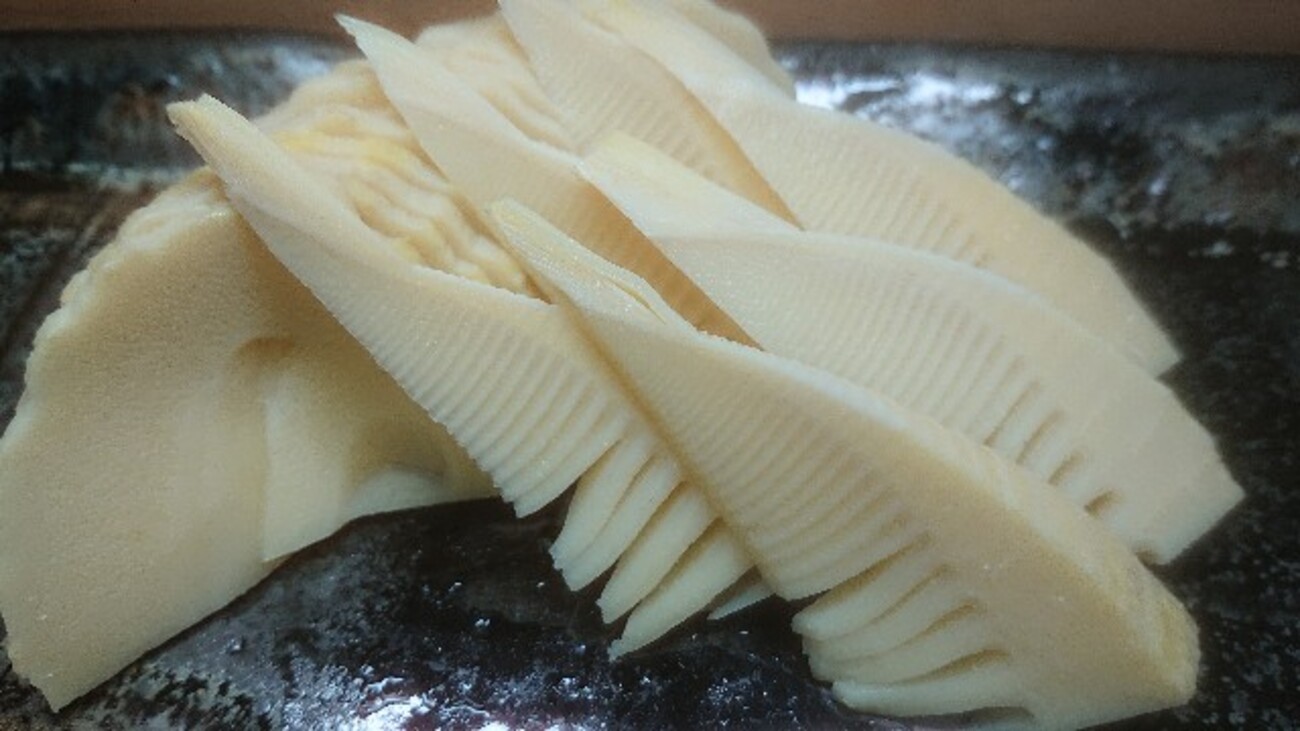 たけのこ 刺身 生