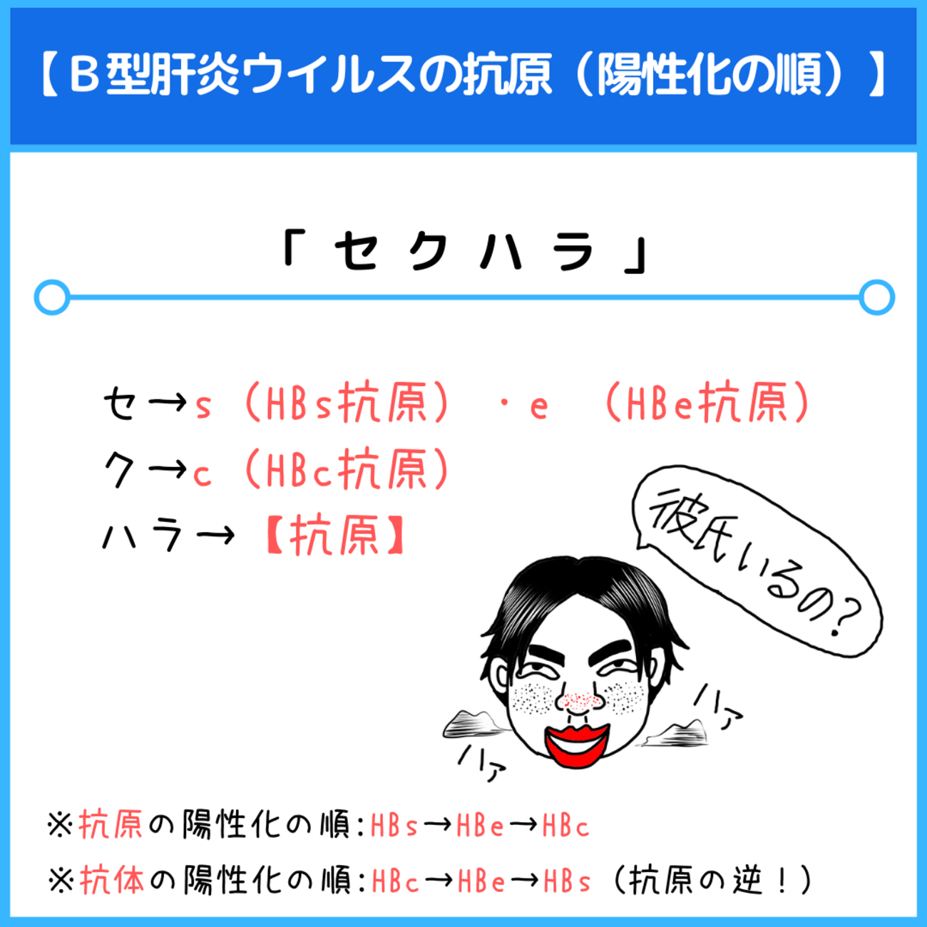 抗体 検査 b 型 肝炎