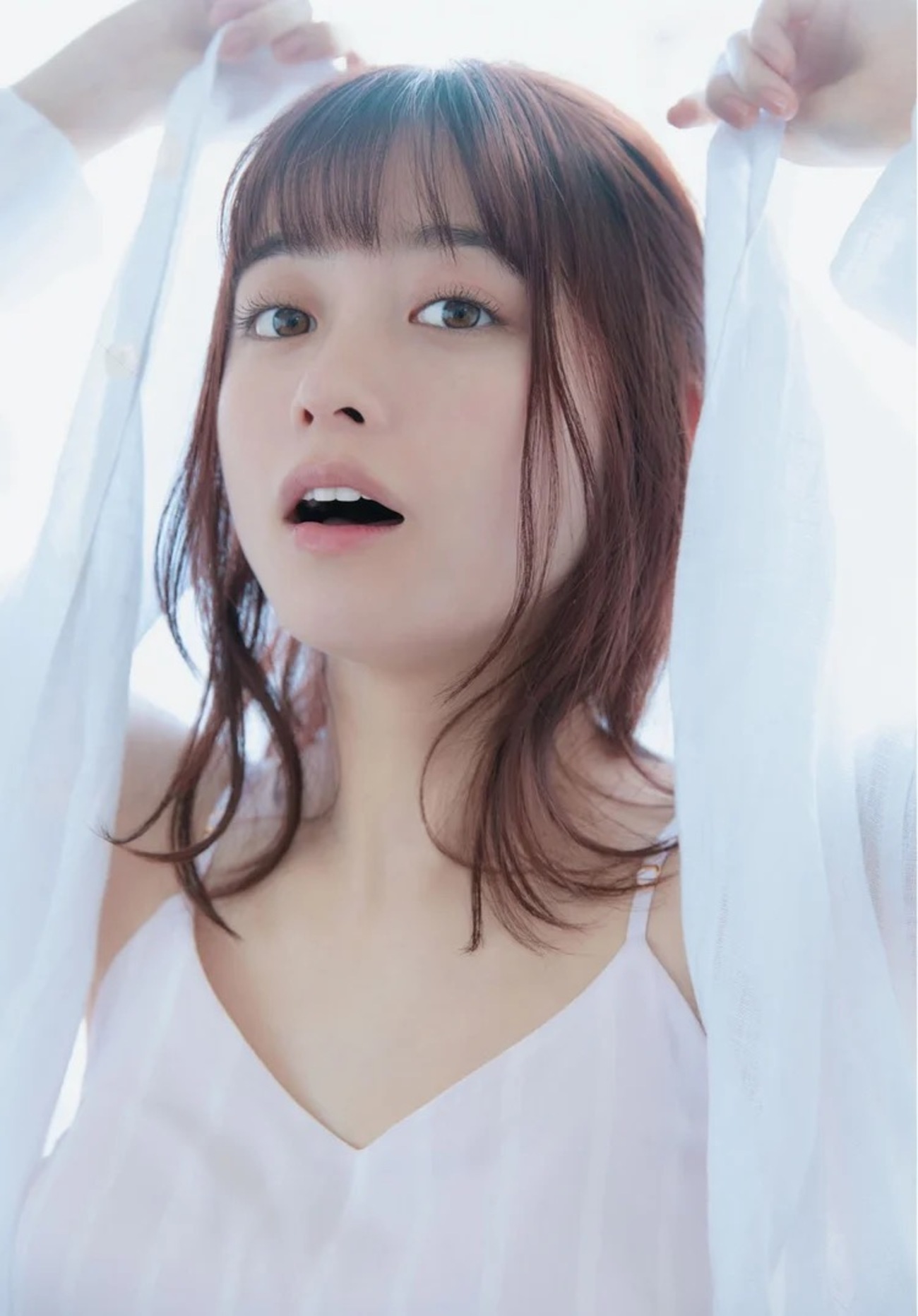 活動歴および当時の関連ビジュアル記録