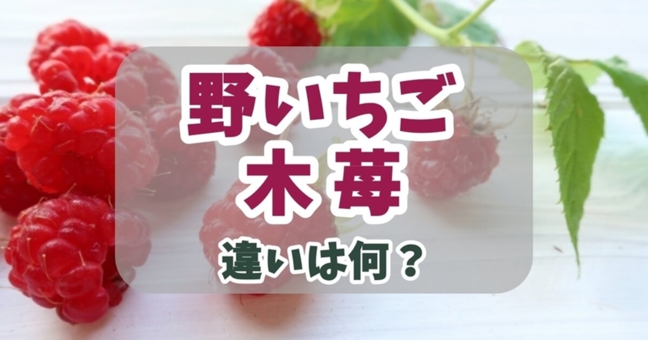 野いちごと木苺の違いは何？見た目や実の形状・味や食感の違いと安全に