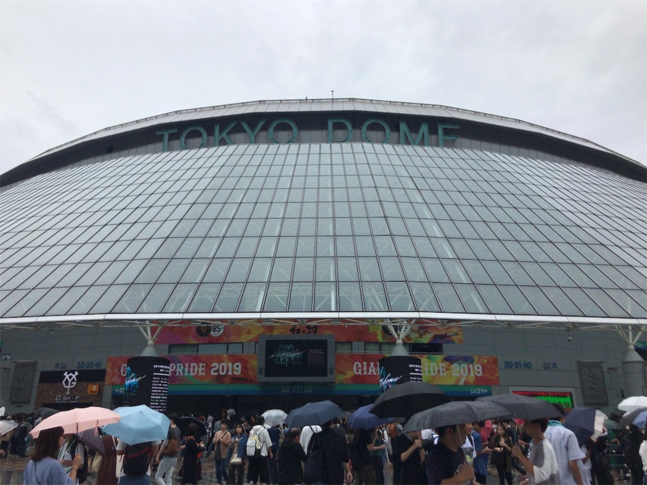 backend=imagemagick;version=1;