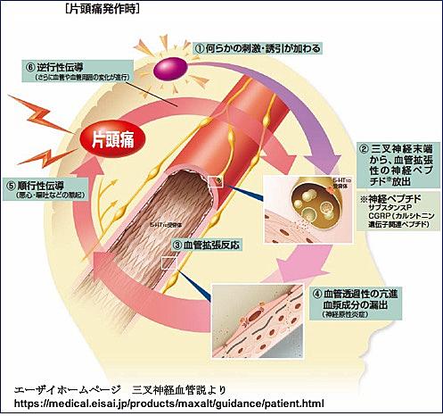 ナトリウム a 酸 放 錠 バルプロ 徐 バルプロ 酸