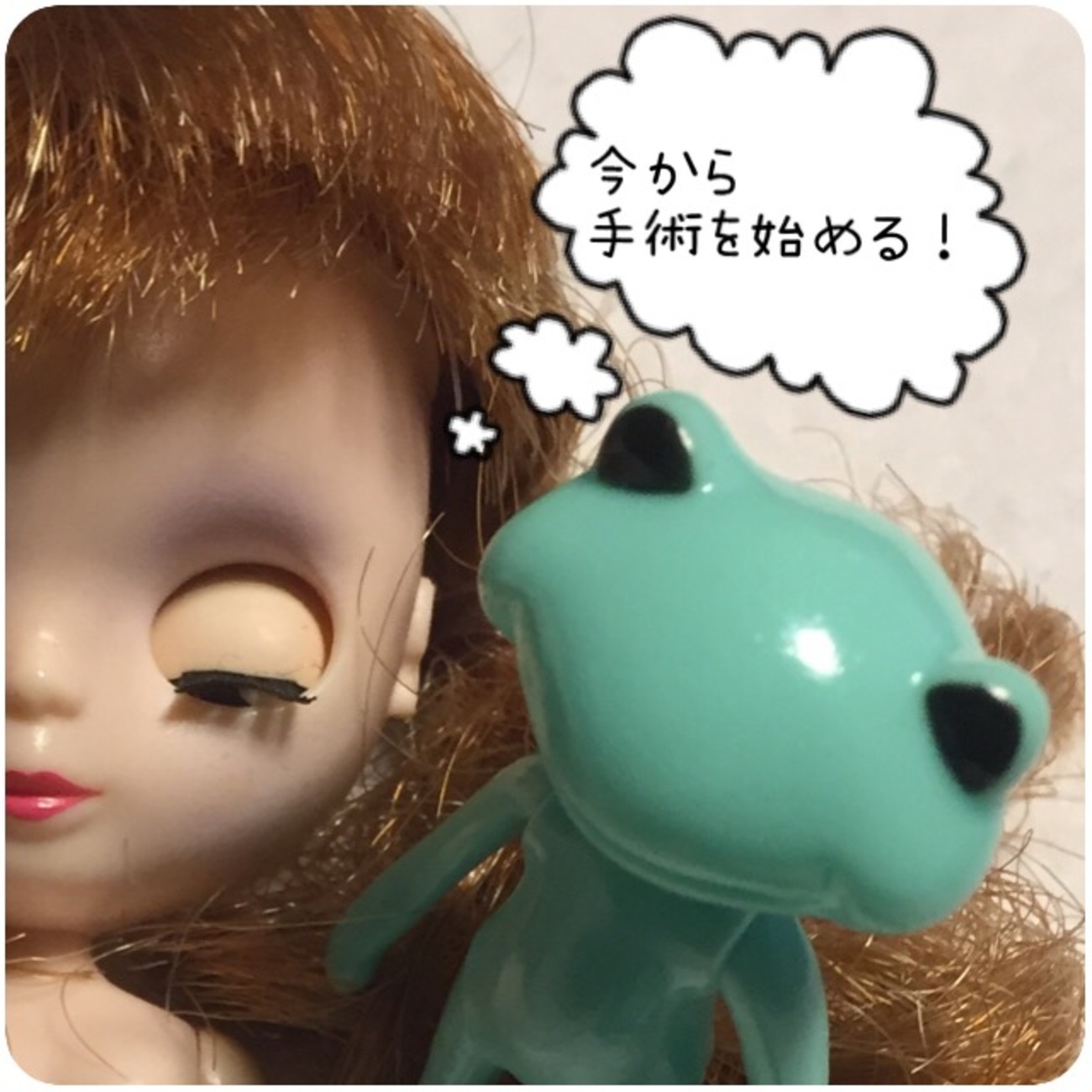 プチブライス カスタム方法♪ その① - ドールのための小さなお店 