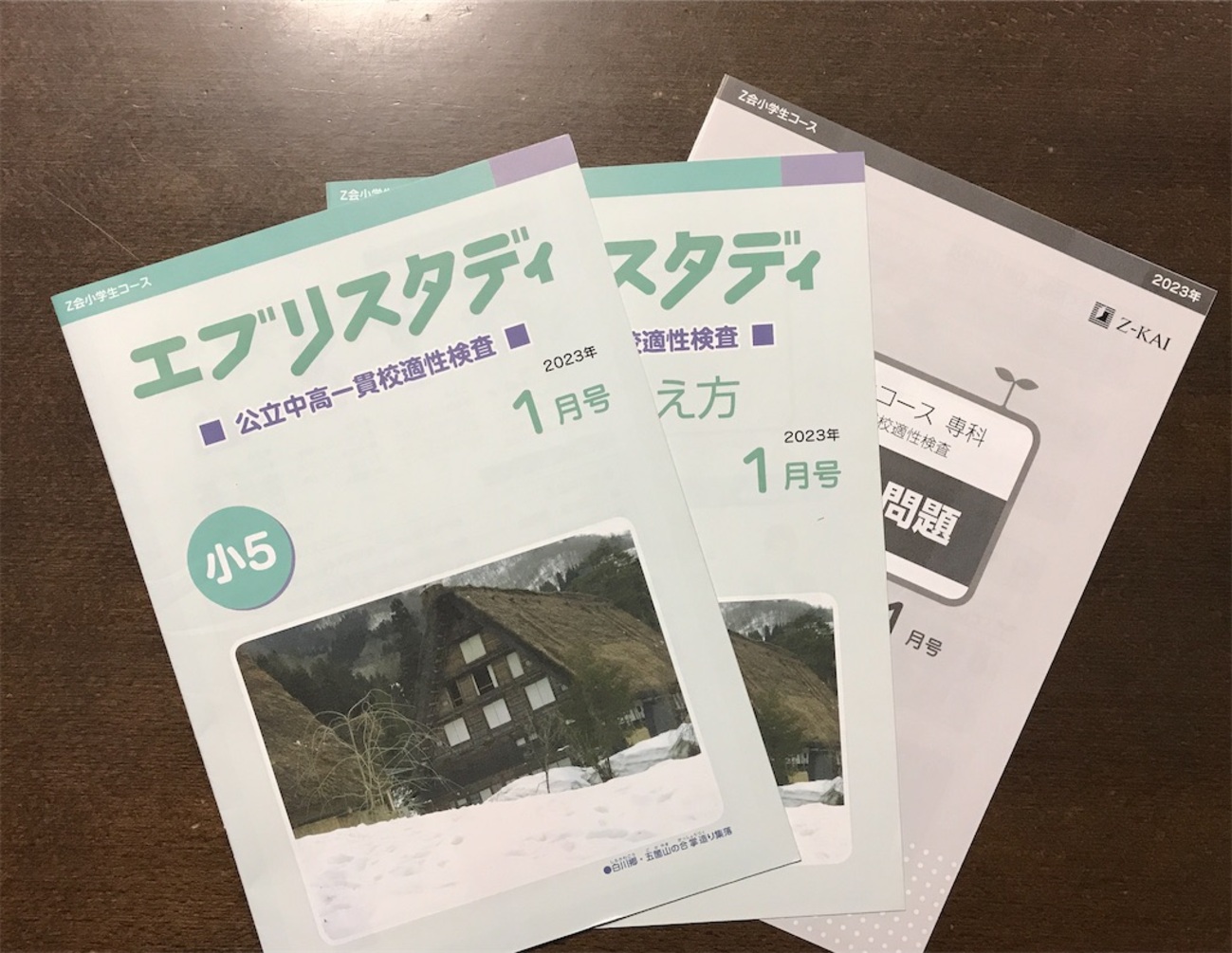 Z会小学5年生「公立中高一貫校適性検査対策コース」1月号の口コミ 感想